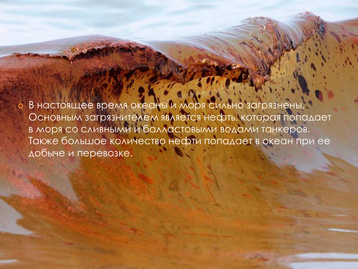 Загрязнение мирового океана нефтепродуктами презентация