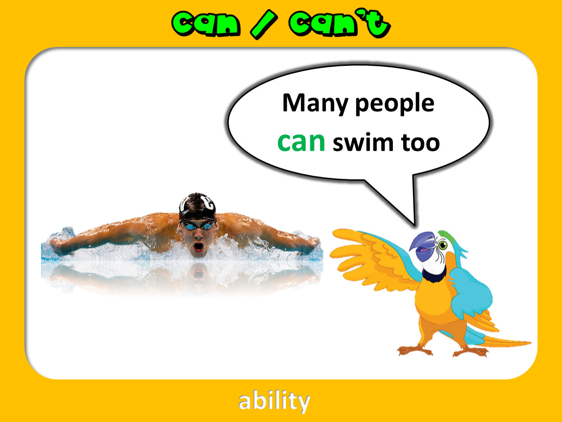 Предложение l can Swim. Most Americans can Swim and ответы. He can Swim перевод. Can can't.