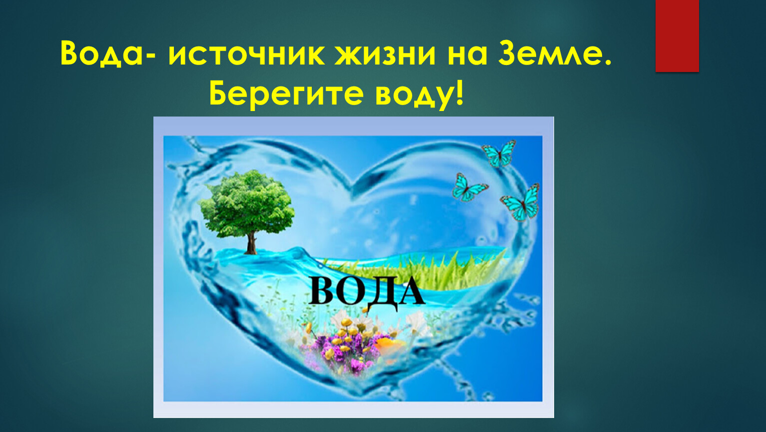 Вода источник жизни