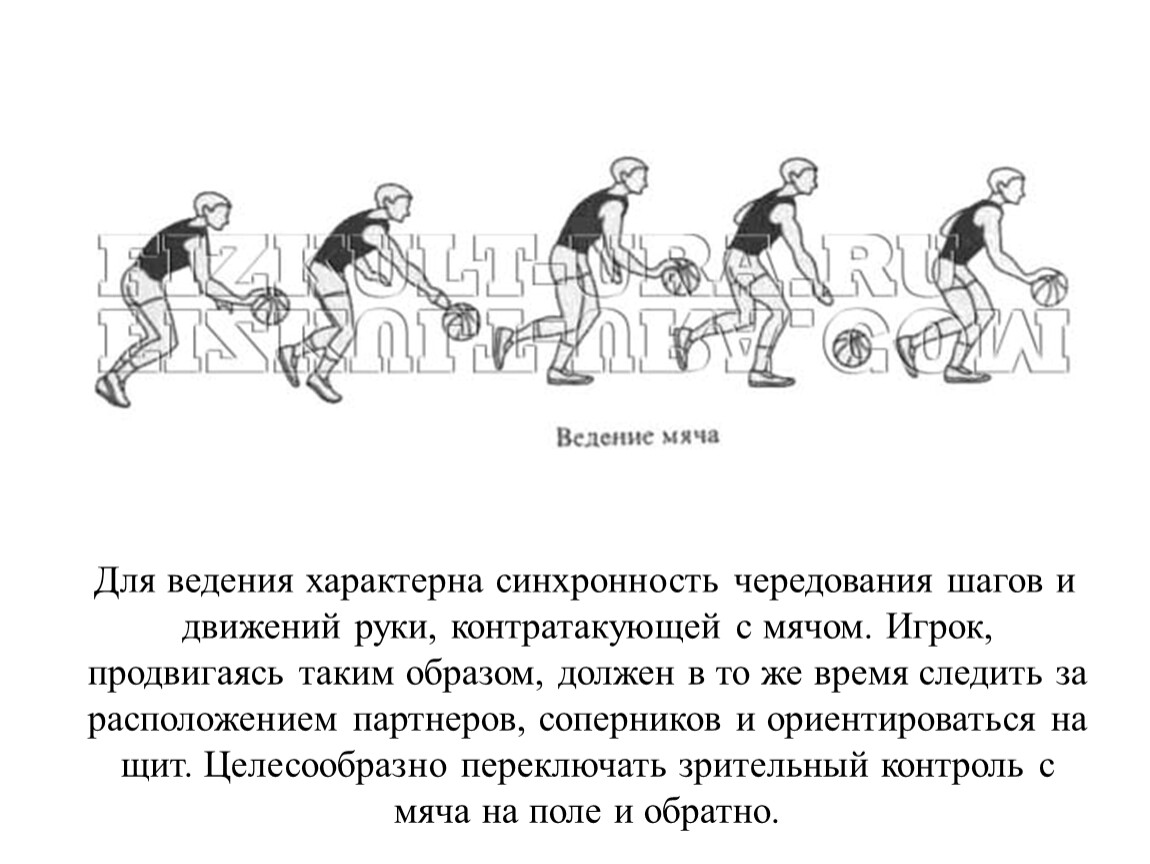 Ведение мяча в шаге. Ведение мяча в баскетболе презентация. Ведение мяча в движении в баскетболе. Двойное ведение в баскетболе. Синхронность движений.