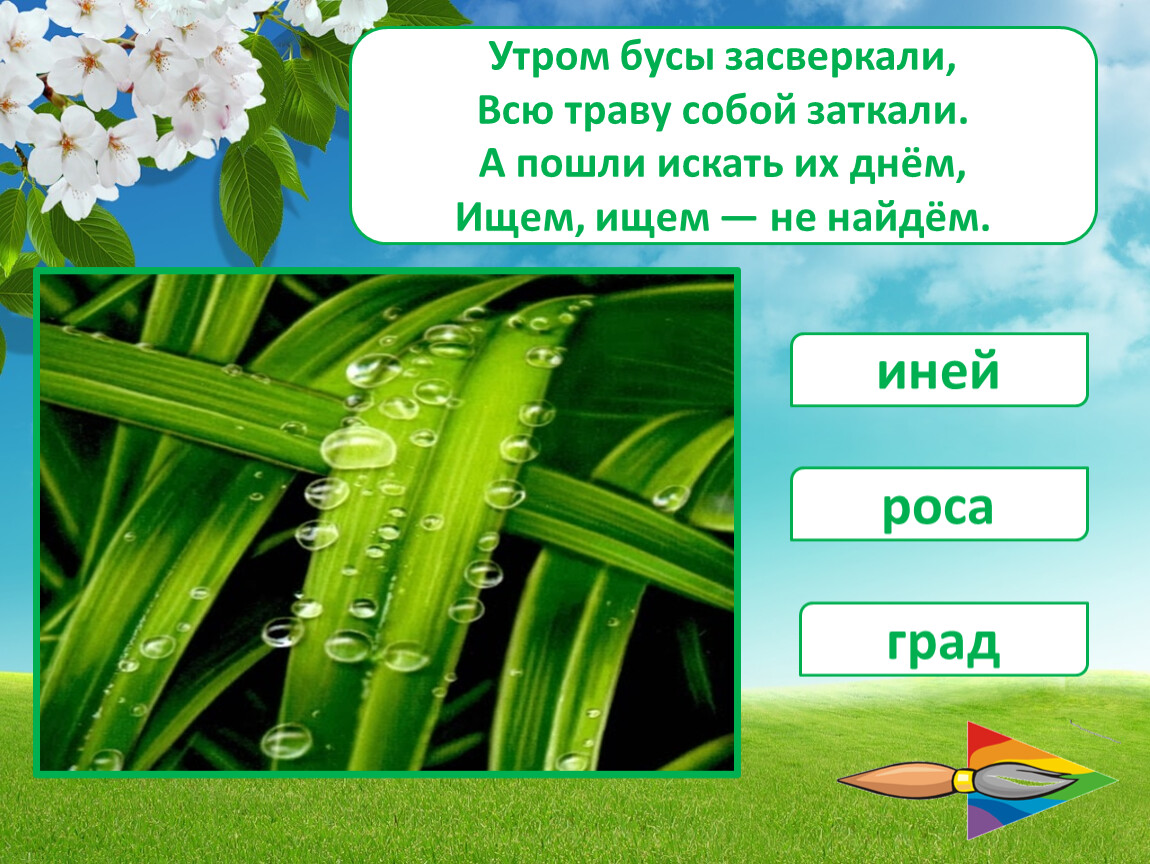 Найдите россу. Утром бусы засверкали. Утром бусы засверкали всю траву. С загадками утром бусы засверкали всю траву с собой заткали а пошли. Утром бусы засверкали загадка.