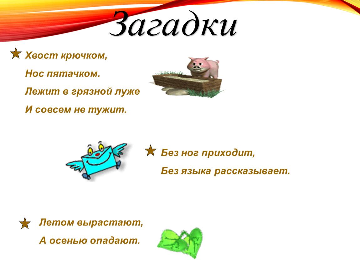 Загадка хвост. Хвост крючком нос пятачком загадка. Загадка про крючок. Загадки с хвостом. Загадка про хвост крючком.