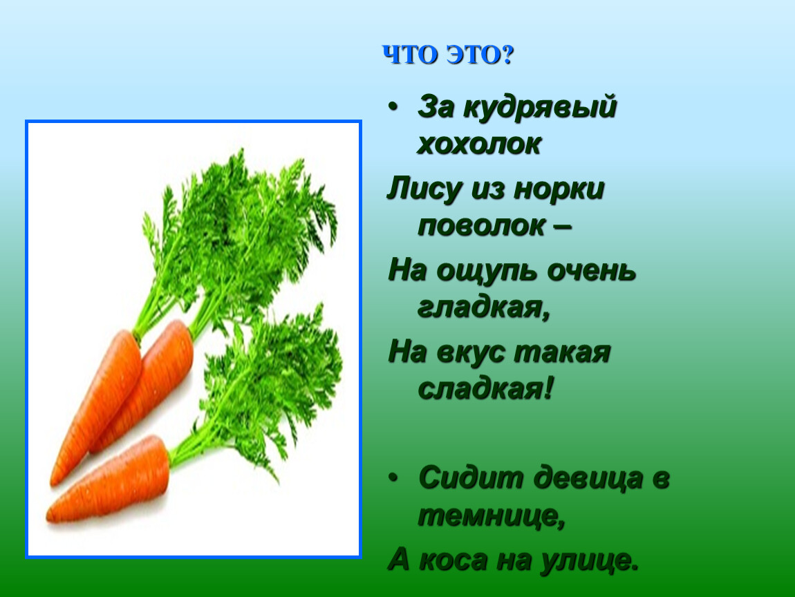 Что такое поволоки. За кудрявый хохолок лису из норки поволок. За кудрявый хохолок в лесу из норки поволок.