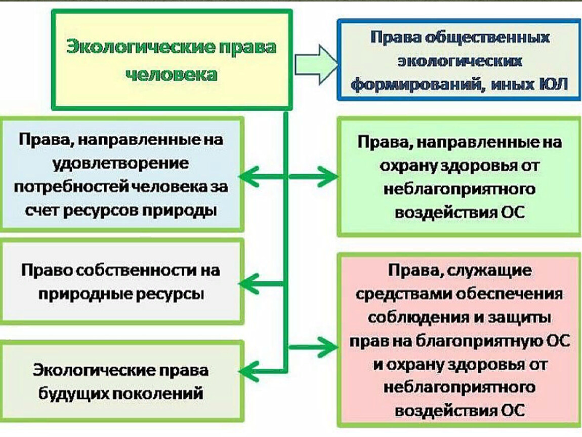 Экологическое право граждан и организаций