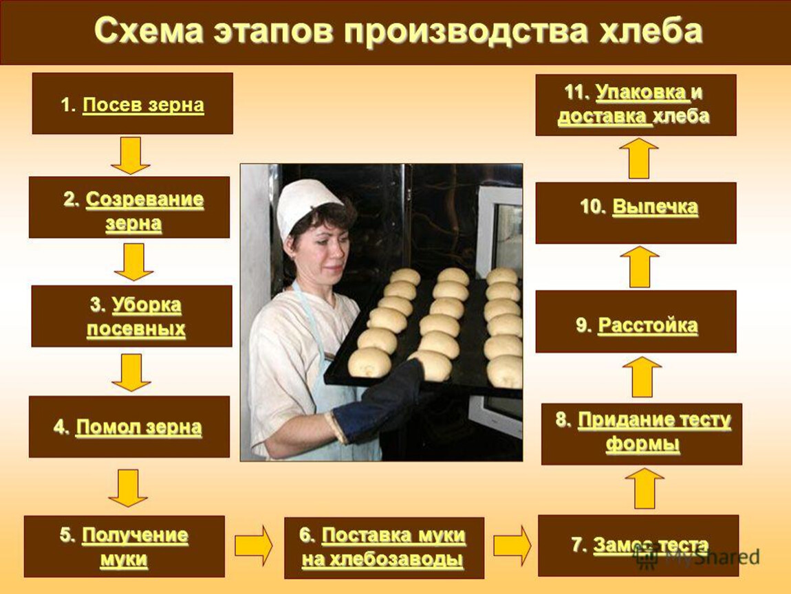 Работники экономической отрасли. Схема этапов производства хлеба. Технологическая цепочка производства хлебобулочных изделий. Методы и средства производства хлеба. Процесс производства хлеба.
