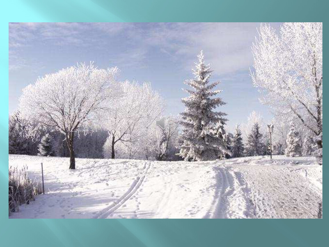 Зимняя природа. Снежная зима. Зима пейзаж. Красивая зима. Окружающий мир гости зимы