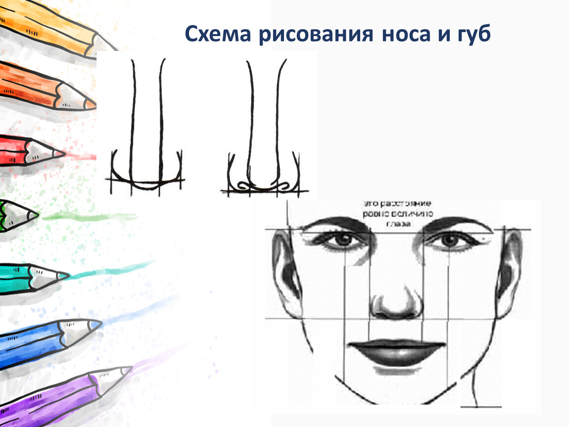 Как нарисовать нос схема