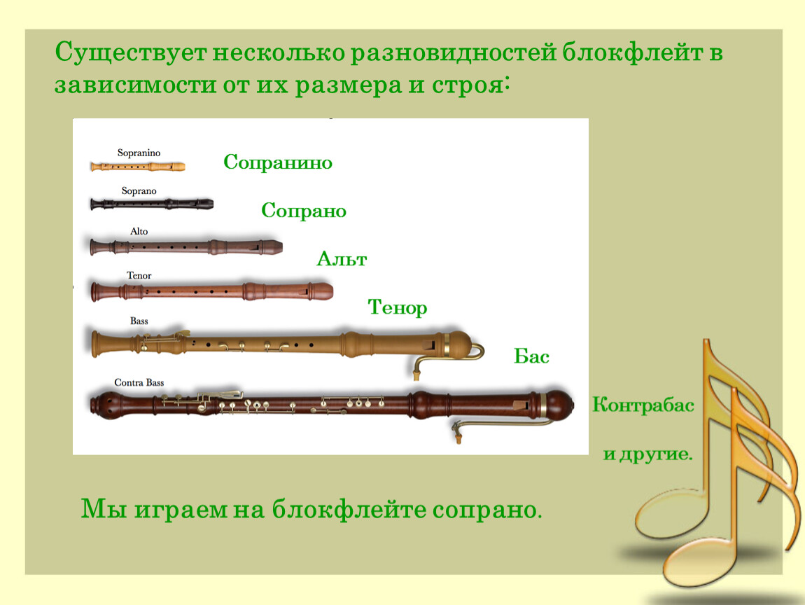 Инструменты для романса. Разновидности флейт. Виды оркестровых флейт. Продольная флейта. Диапазон блокфлейты Альт.