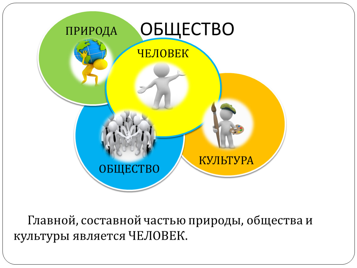 Введение в обществознание