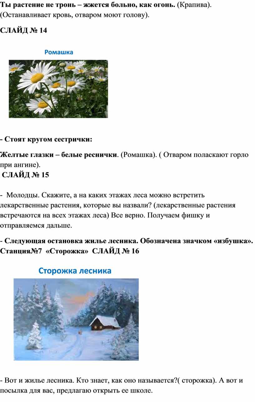 Ты растение не тронь – жжется больно, как огонь