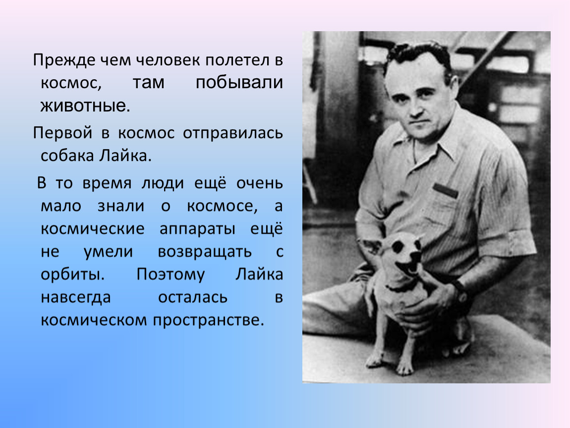 Кто полетел в космос. Кто первый полетел в космос животные. Первое животное полетевшее в космос. Человек полетел в космос. Кто из животных полетел в ксомсомс.