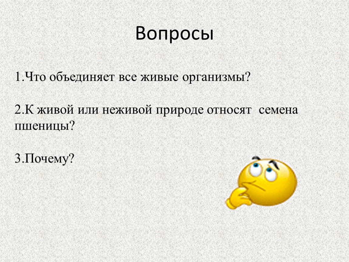 Вживую или в живую. Все живые организмы объединяет. Яблоко это Живая или неживая природа. Семя это живое или неживое тело. Яблоко это живое или неживое предмет.