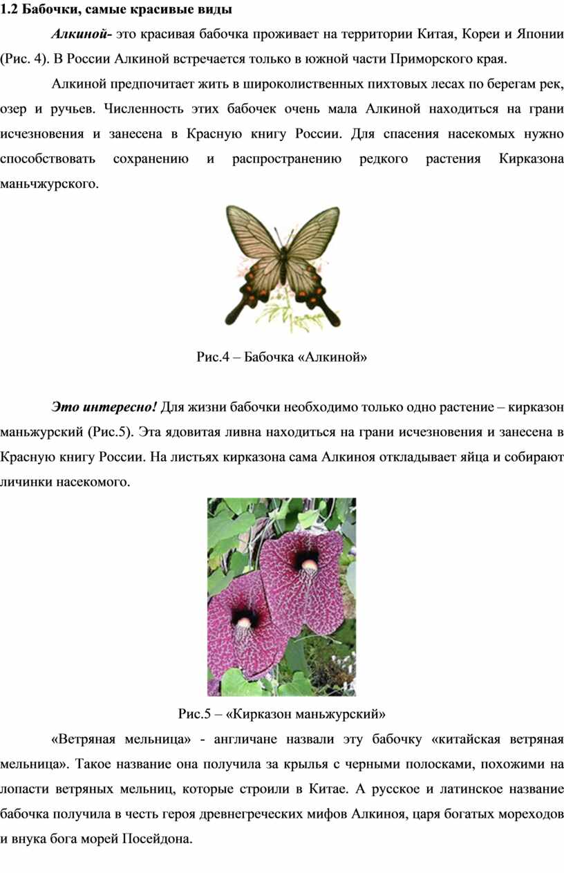 Исследовательская работа 