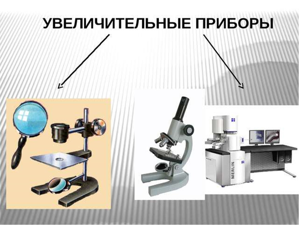 Увеличительные приборы. Увеличительные приборы 5 класс биология. Увеличительные приборы 5 класс биология микроскоп. Увеличительные приборы лупа и микроскоп 5 класс. Урок биологии 5 класс Пономарева увеличительные приборы.