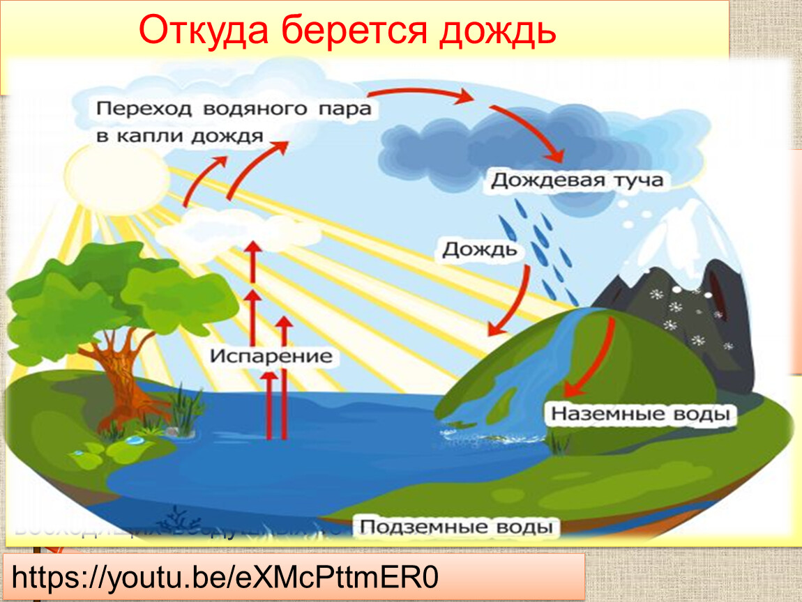 Дождик вымочит, а красно солнышко высушит. Слова, называющие природные  явления» Презентация к уроку 