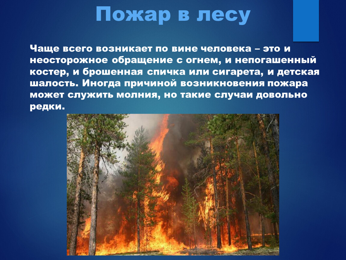 Где наиболее часто возникают пожары почему. Пожар по вине человека. Лесные пожары по вине человека. Где чаще всего возникают Лесные пожары. Неосторожное обращение с огнем.