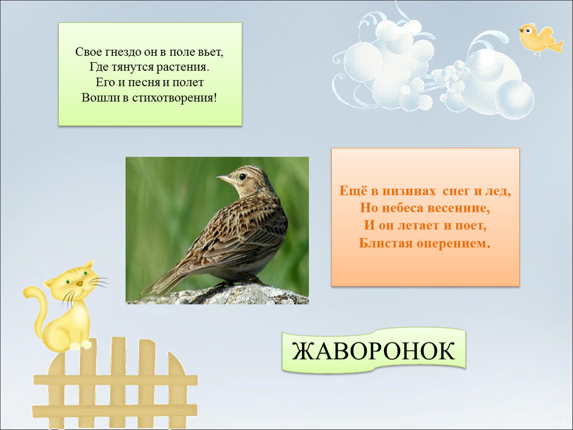 Где вьет гнездо Жаворонок.