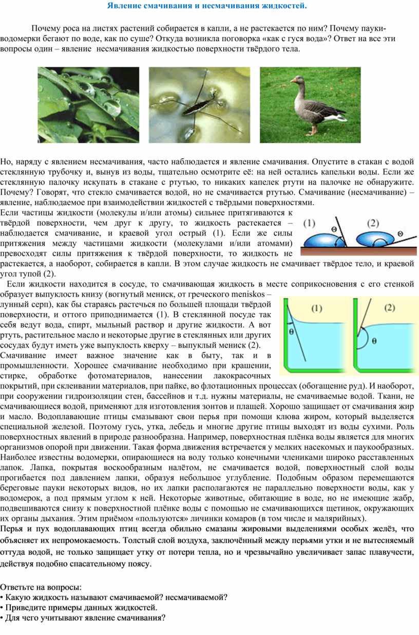 Смачивание и несмачивание физика 10 класс презентация