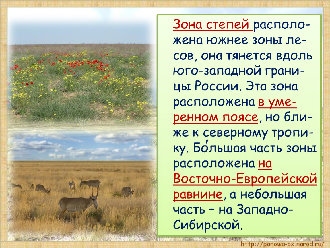 Природная зона степей 4 класс. Зона степей. Степи окружающий мир. Окружающий мир зона степей. Зона степей 4 класс.