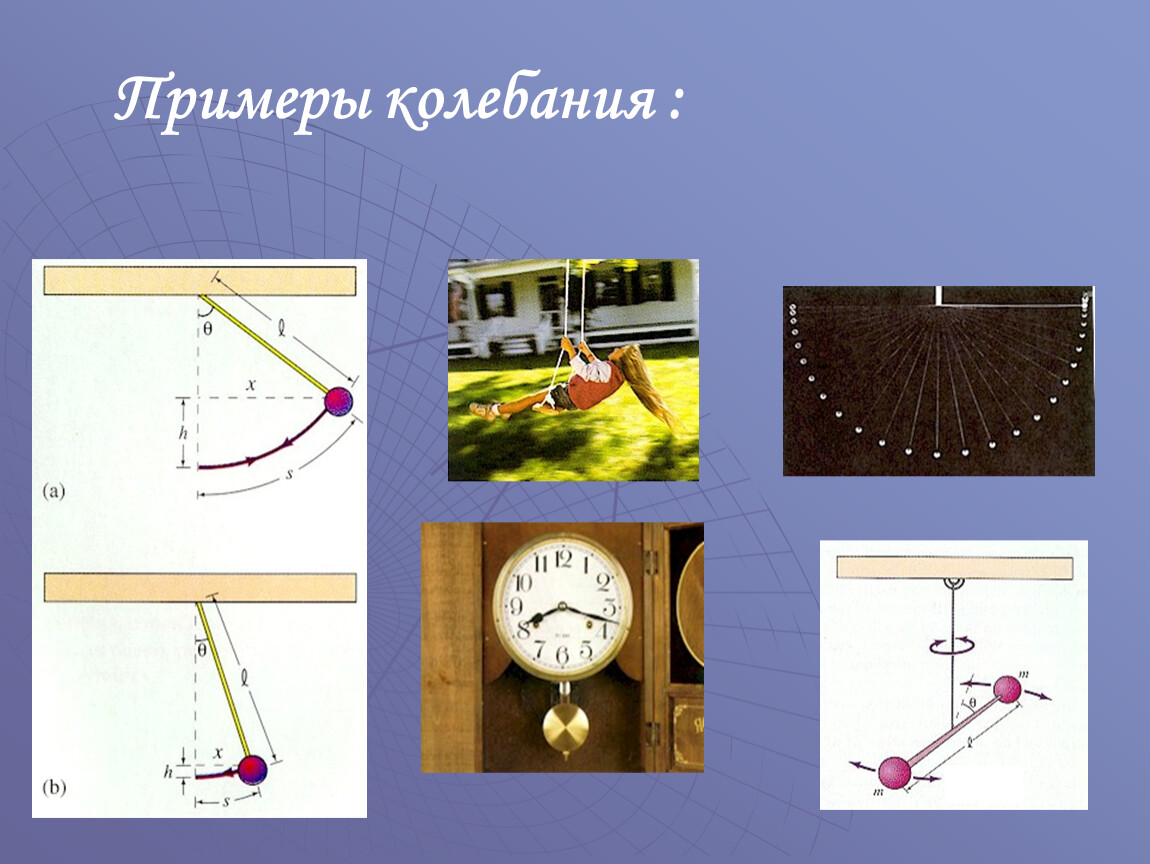 Свободное колебательное движение. Механические колебания примеры. Примеры колебательного движения. Колебательные движения в природе. Колебательные движение при меры.