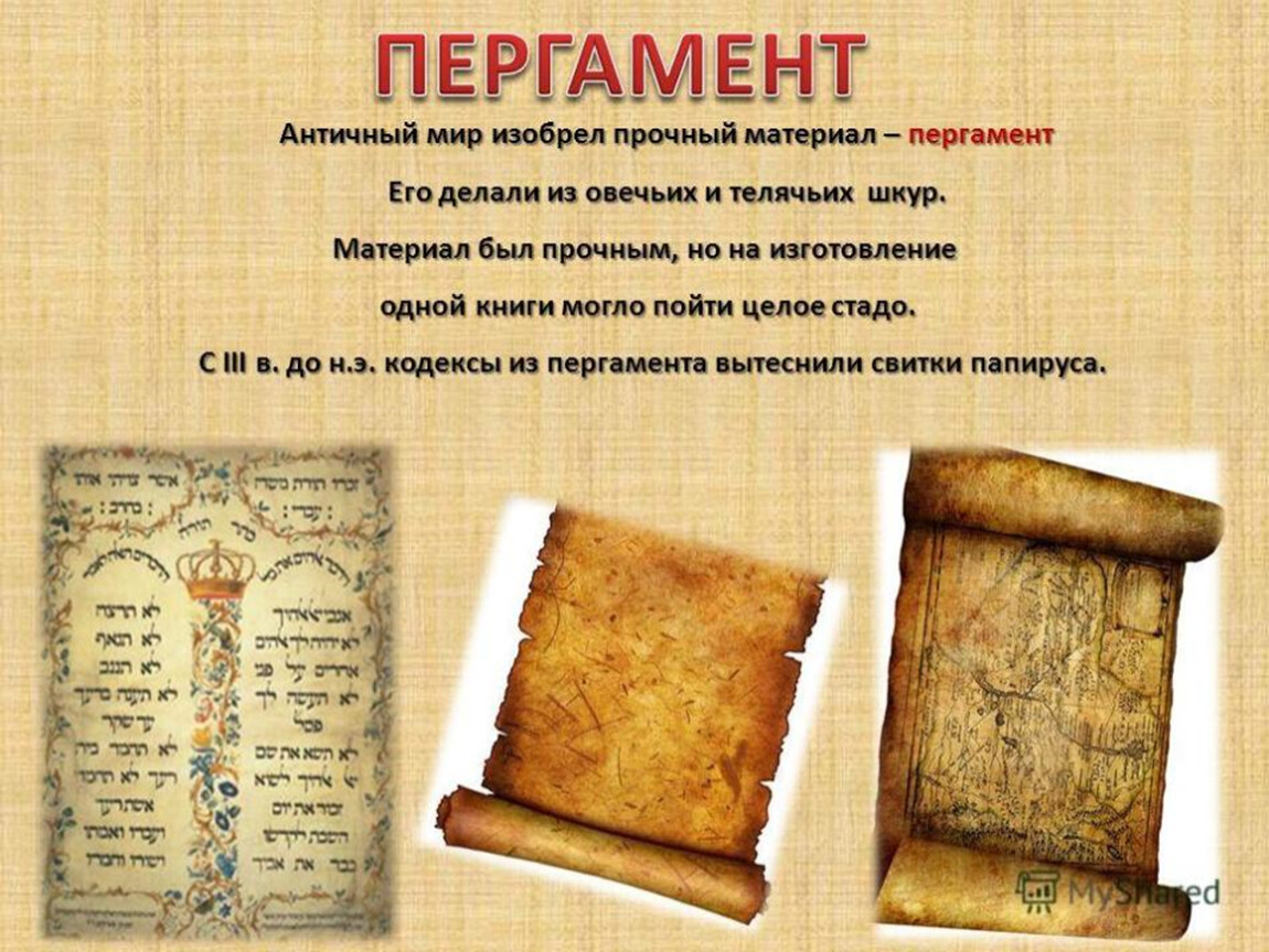 Пергамент материал для письма