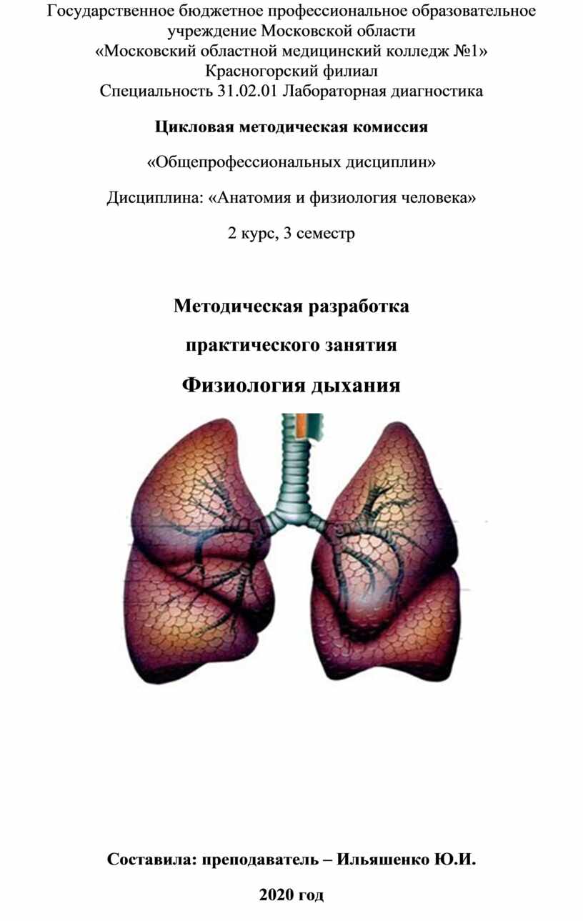 Модель Дондерса своими руками