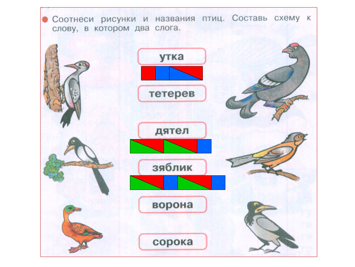 Ворон звуки и буквы. Схема слова утка. Схемы слогов. Птицы звуковпясхема. Схема слова утка 1 класс.