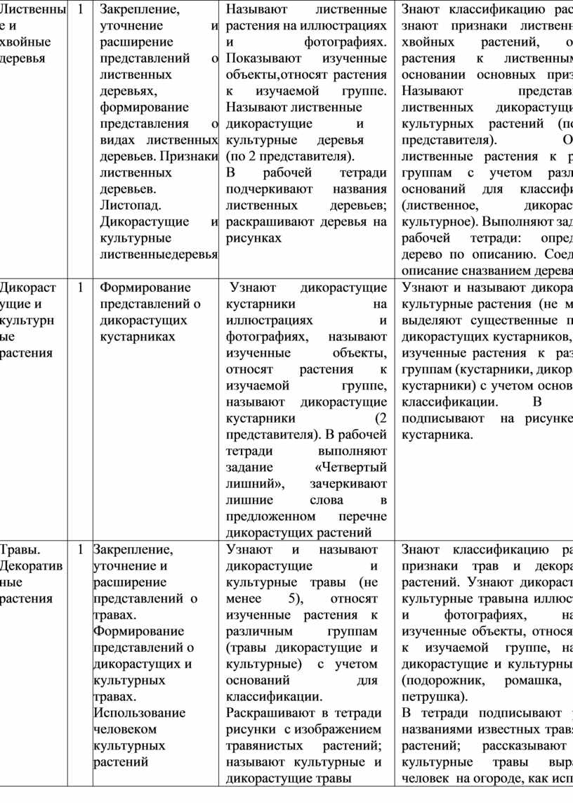 Лиственные и хвойные деревья 1