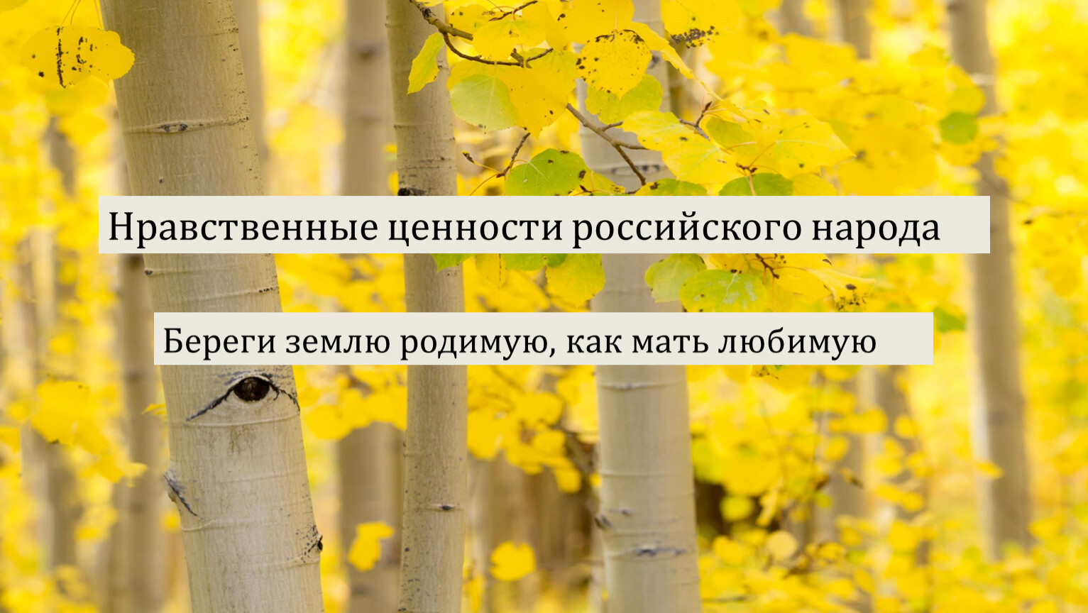 Береги землю родимую как мать любимую презентация 5 класс однкнр береги родимую