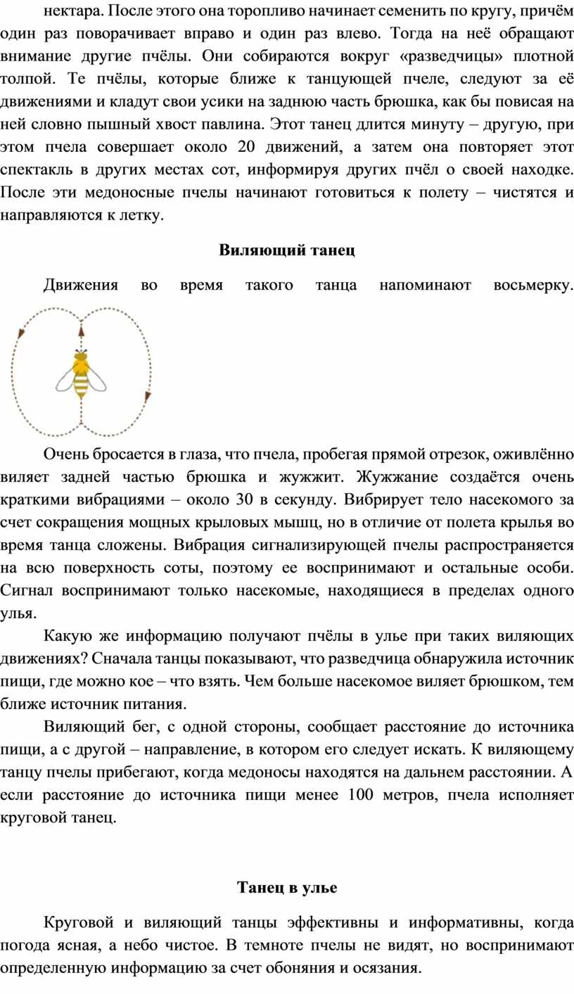 После этого она торопливо начинает семенить по кругу, причём один раз поворачивает вправо и один раз влево