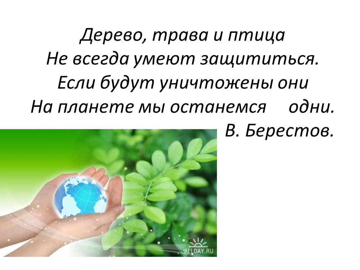 Всегда умею. Дерево трава и птица не всегда умеют защититься. Берестов дерево трава. Берестов дерево трава и птица. Стих дерево трава и птица не всегда умеют защититься Берестов.