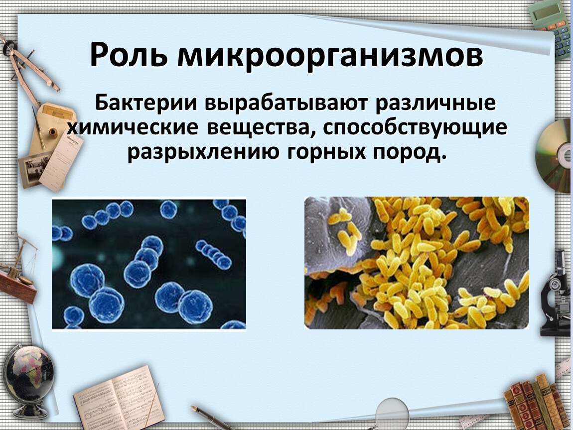 Какую роль бактерии играют в природе 7. Роль микроорганизмов. Функции микроорганизмов. Роль бактерий в образовании полезных ископаемых. Способность продуцировать бактерии.