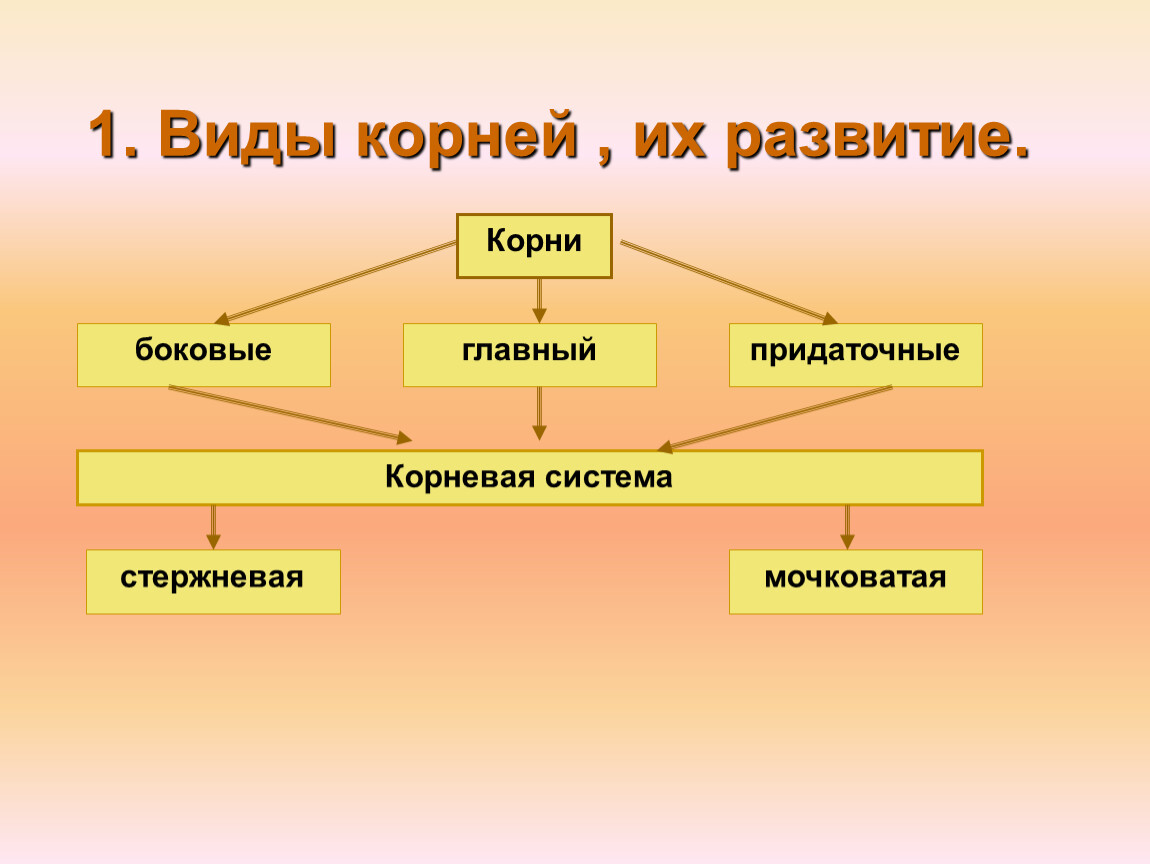 Управление 6 класс