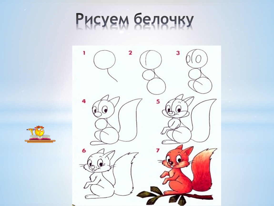 Как нарисовать белку ребенку. Беочкадля детей поэтапное рисование. Как нарисовать белку. Этапы рисования белочки. Поэтапное рисование белки.