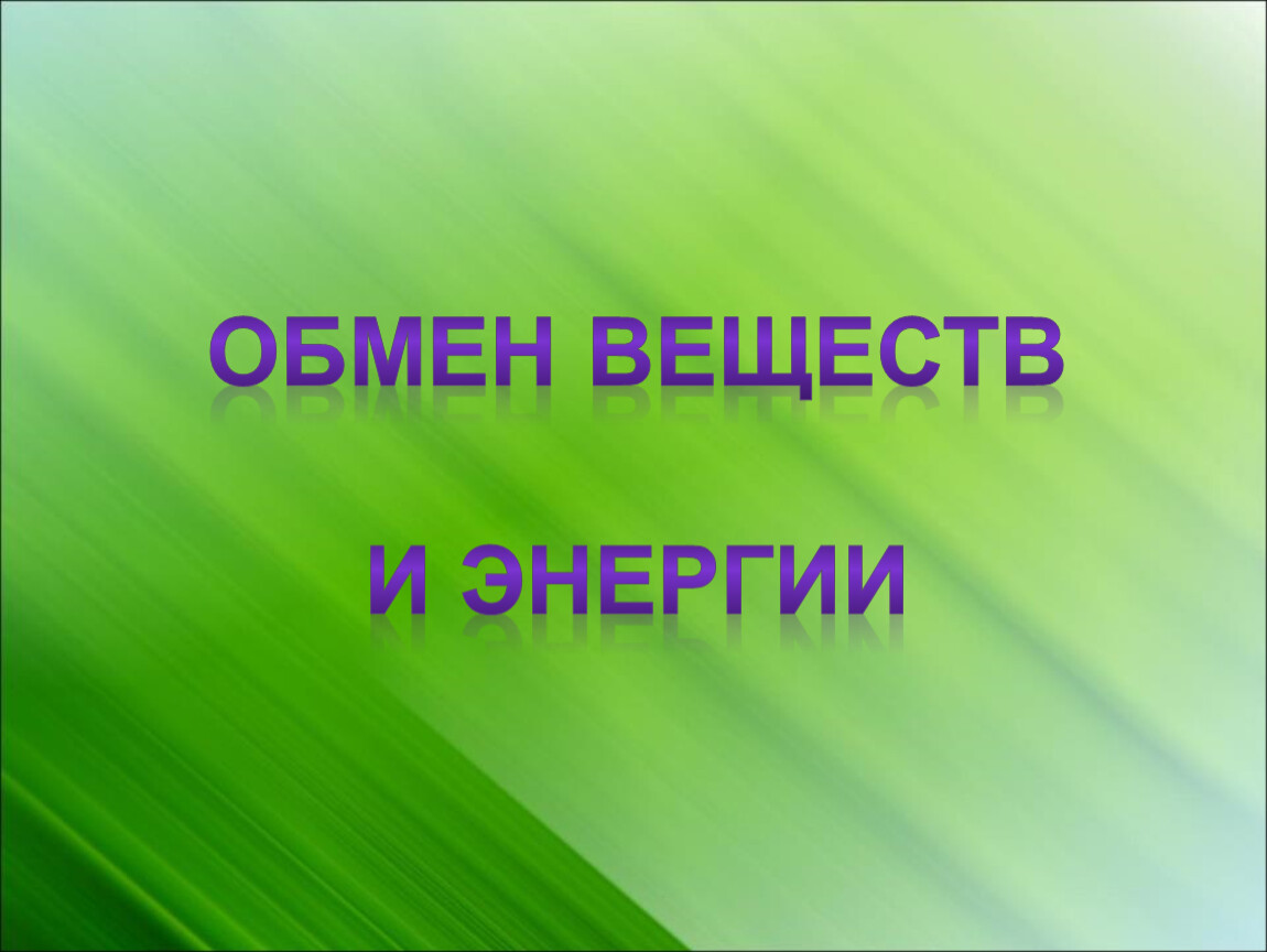 Обмен веществ человека