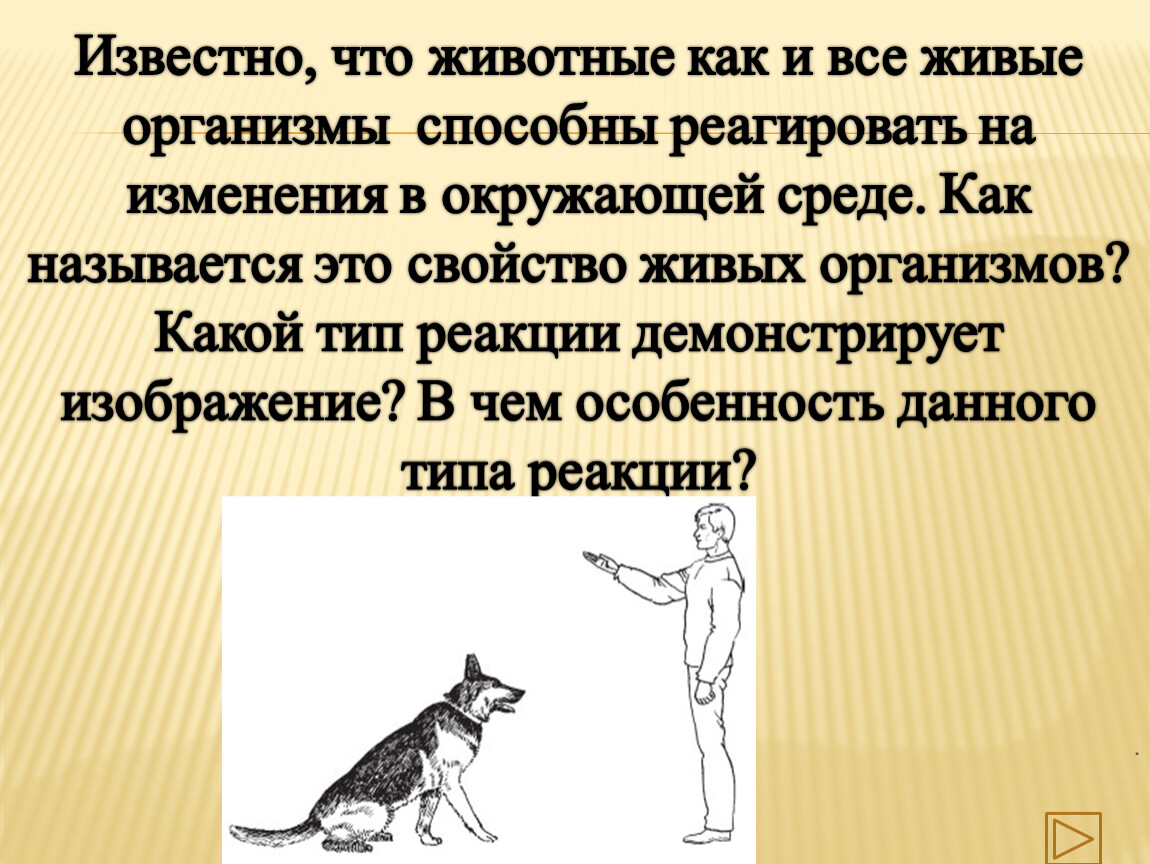 Животный организм и его особенности 9 класс. Известно что животные как и все живые организмы. Животный организм и его особенности. Живые организмы реагируют на изменения. К чему способны все живые организмы?.