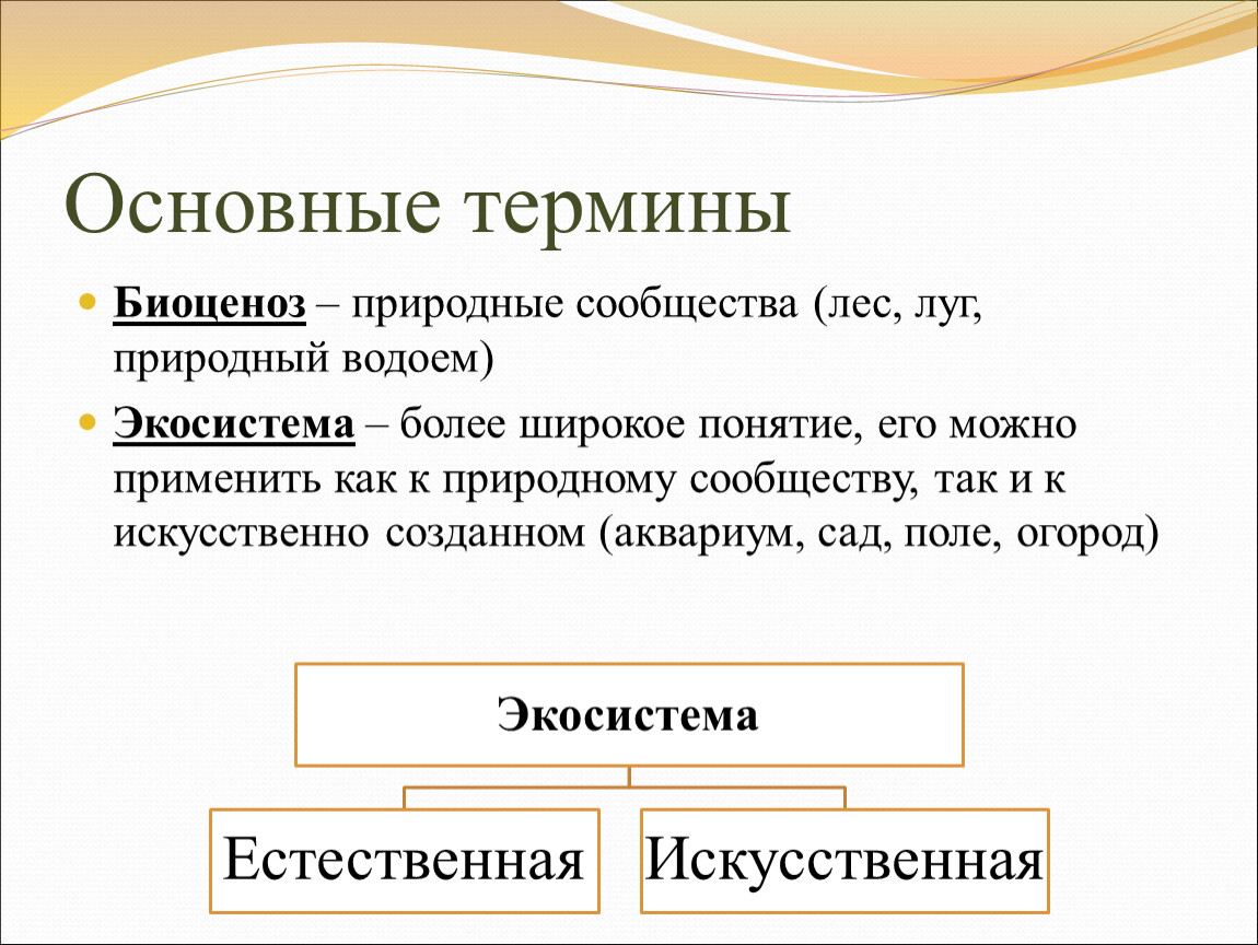 Три естественный. Основные термины по биологии. Основные и главные понятия по биологии. Базовые термины по биологии. Биология 9 класс термины.