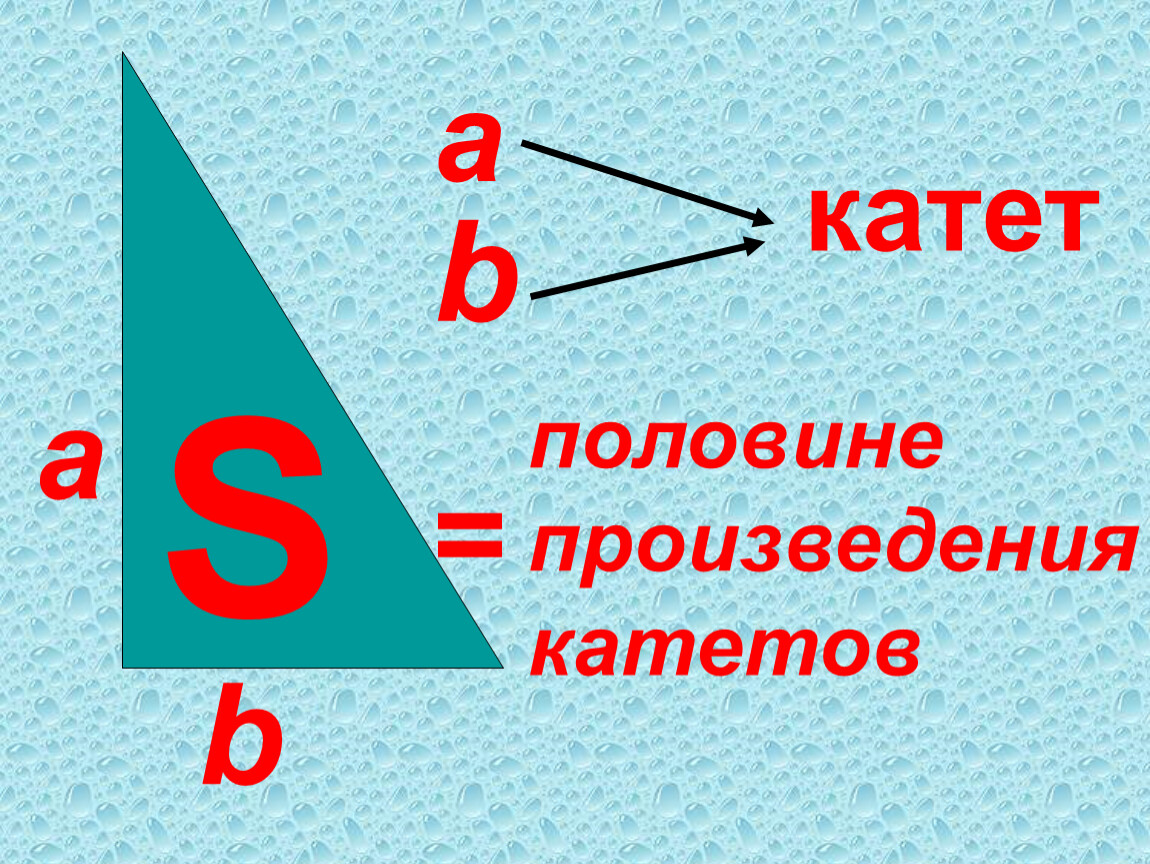 Задача площадь прямоугольного треугольника. Площадь прямоугольного треугольника 4 класс. Формула площади прямоугольного треугольника 4 класс. Площадь прямоугольного треугольника 3 класс. Площадь треугольника 4 класс.
