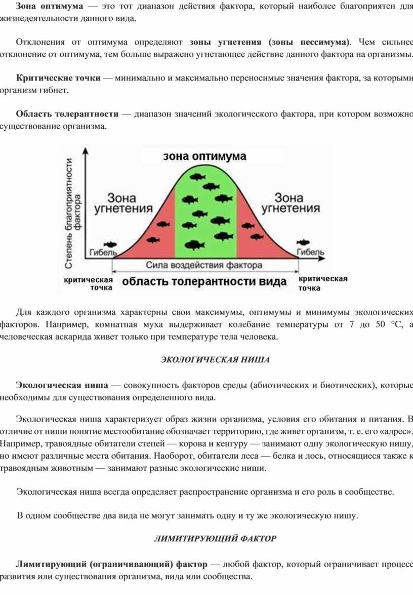 Заполните схему экологические факторы