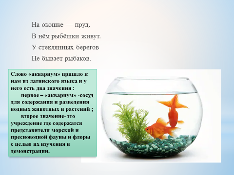 Исследование аквариумных рыбок какая наука. Аквариум для презентации. Презентация на тему аквариум. Аквариумные рыбки для детей. Аквариум и его обитатели презентация.