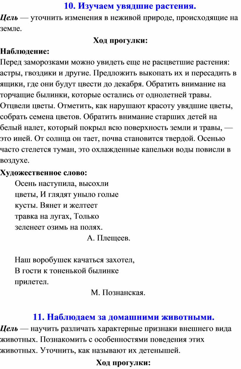 Картотека наблюдений за живой и неживой природой для детей старшего  дошкольного возраста (5-6 лет)