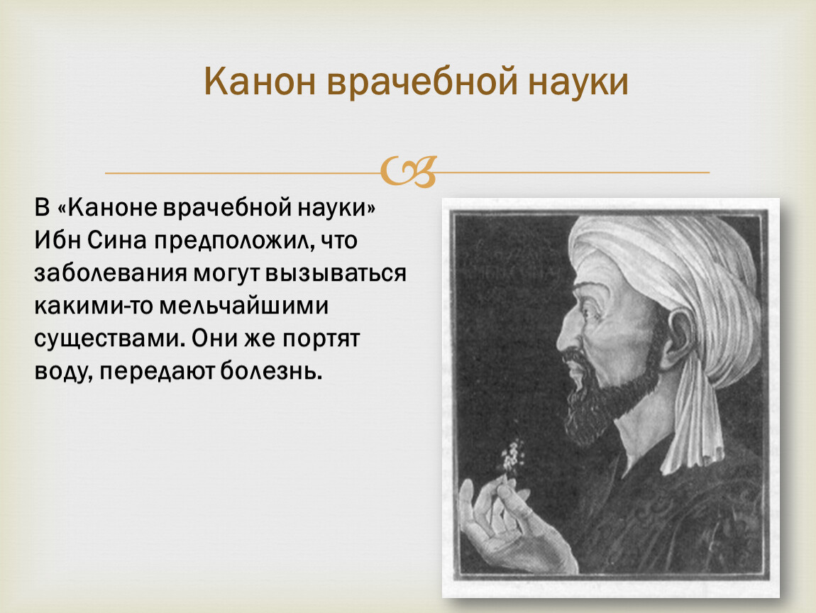 Ибн сина улица. Ибн сина канон. Канон врачебной науки Авиценна.