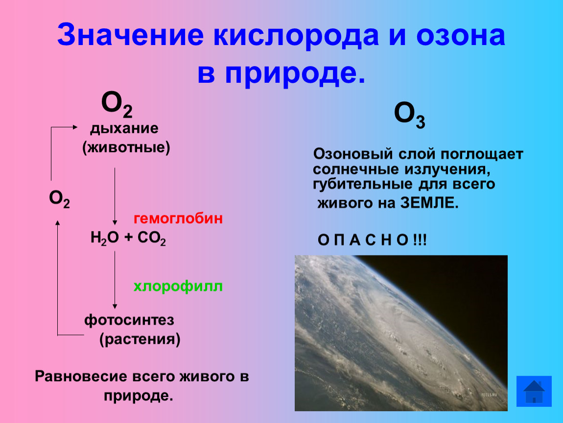 Отличие кислорода от воздуха. Значение кислорода в природе. Кислород и Озон в природе. Значение кислорода и озона. Нахождение в природе кислорода и озона.