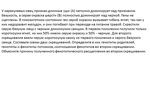 У каракулевых овец признак длинные уши. У каракулевых овец признак длинные. У овец длинноухость неполно доминирует над безухостью. У каракульских овец ген серой окраски доминиру.