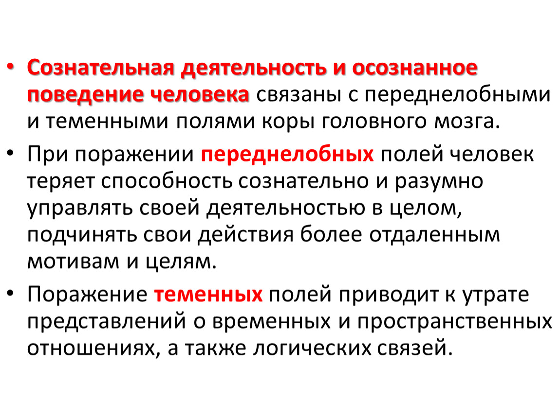 Сознательная активность животного