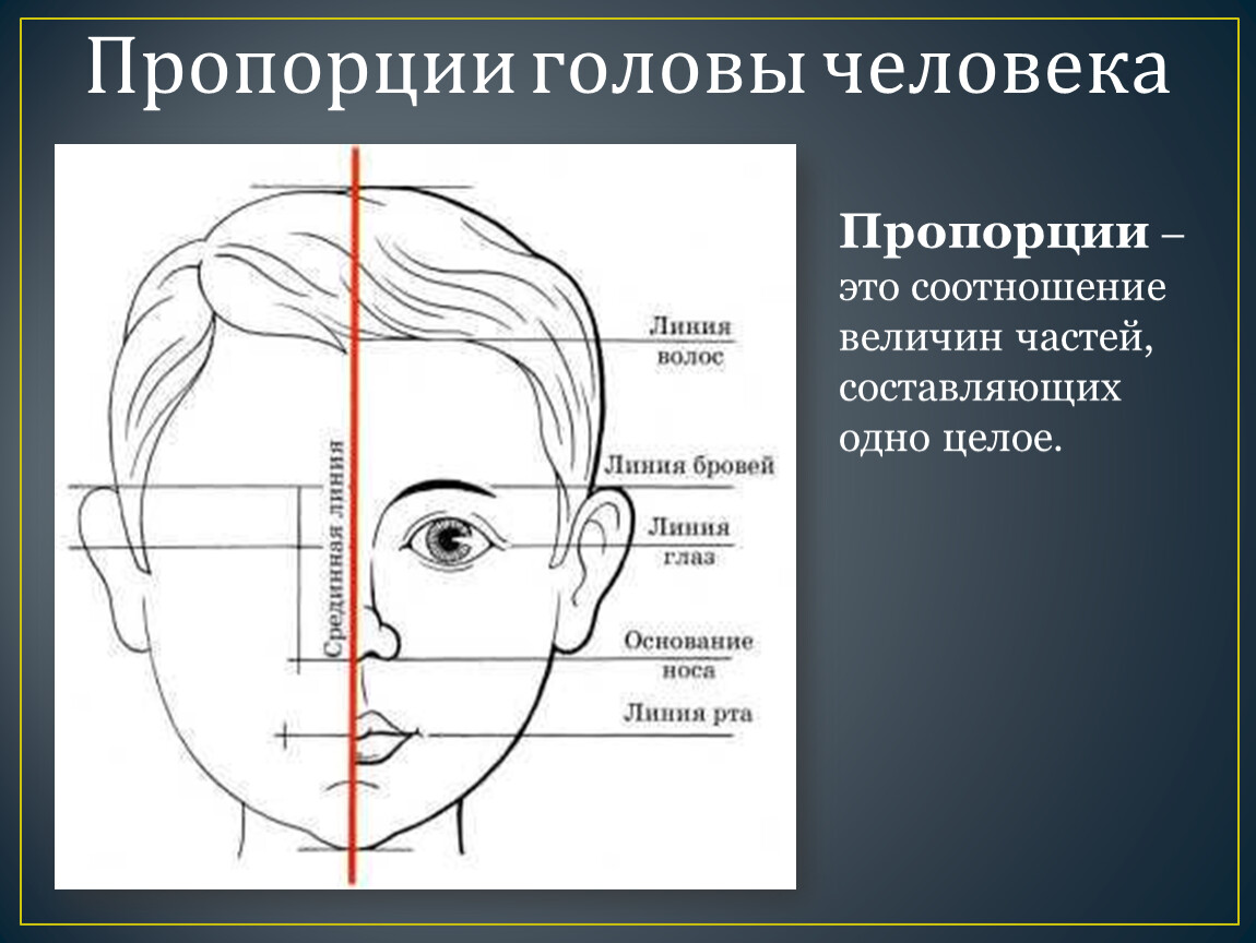 Схема нарисовать лицо