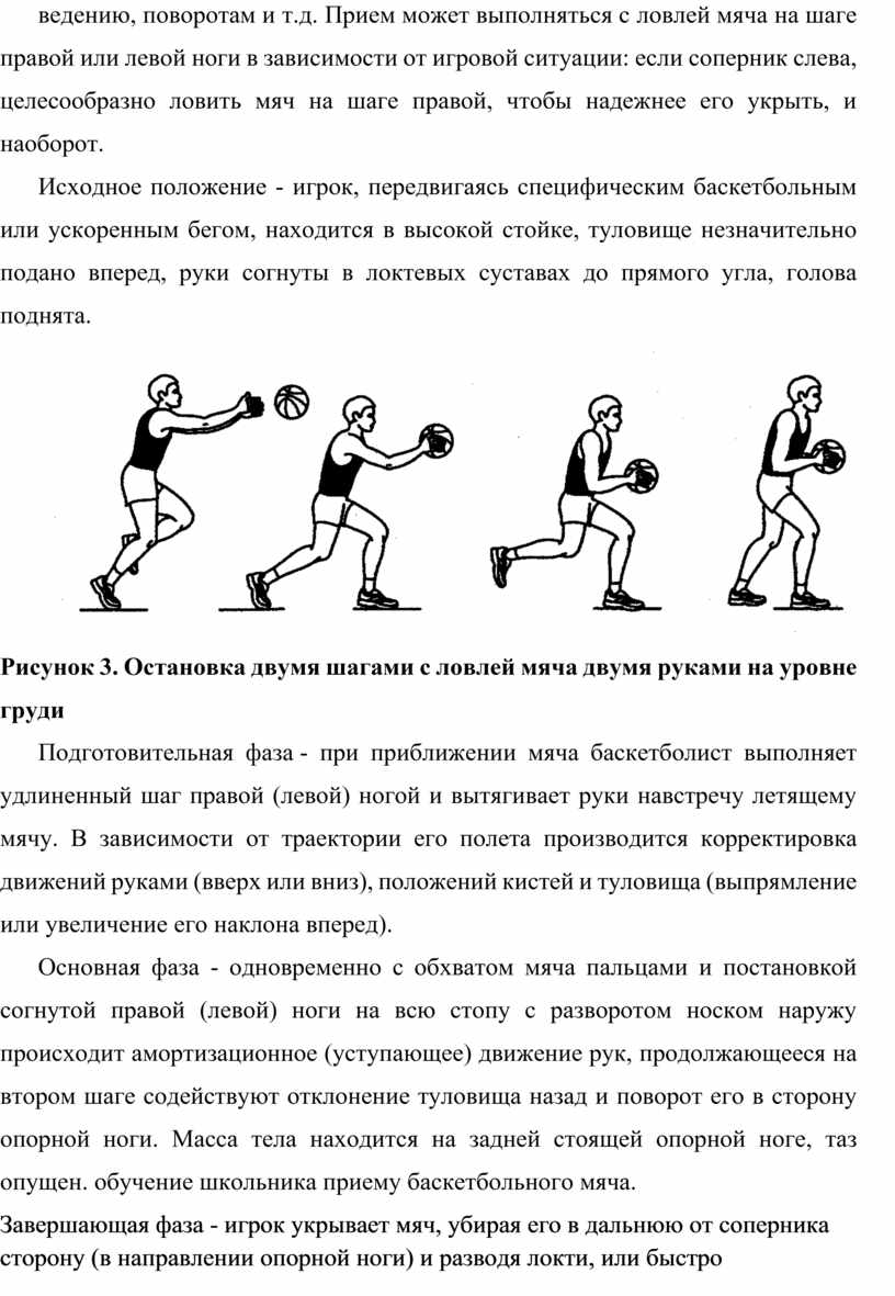 методика обучения школьников игре в баскетбол азбука баскетбола элементы техники броски мяча (100) фото