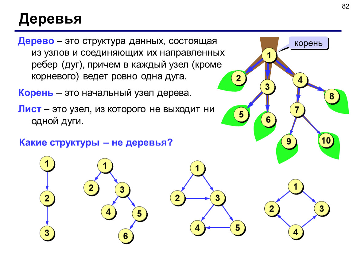 Состоит из четырех видов. Дерево (структура данных). Дерево в информатике. Дерево программирование. Динамическая структура дерево.