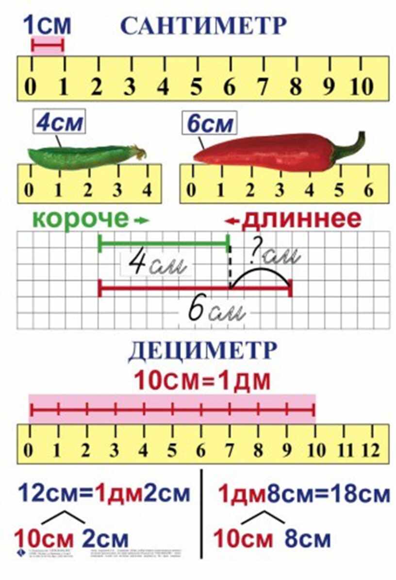 Как объяснить ребенку дециметры. Наглядные пособия для начальной школы. Наглядность для начальной школы. Таблицы для 1 класса. Таблицы по математике 1 класс.