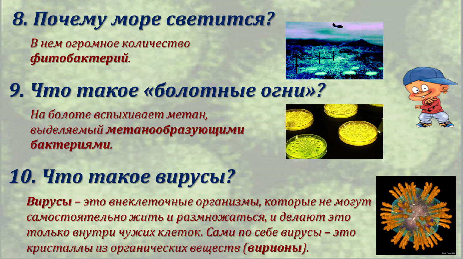 Почему светится море. Бактерии в природе и жизни человека. Значение бактерий и вирусов в природе и жизни человека. Бактерии неклеточные формы жизни.